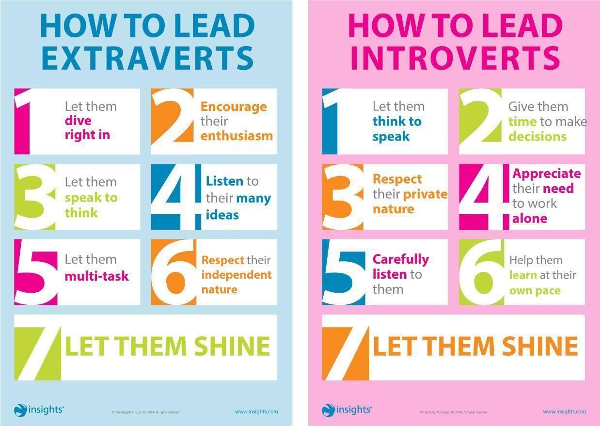 24ba9e1d-21ae-45ef-98ce-906421d6e28e-original